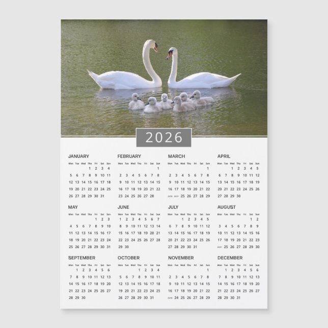 2026 Swan & Cygnets Calendar Magnet (Front)