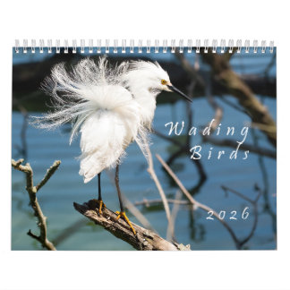 2026 Wading Birds Original Photo Calendar