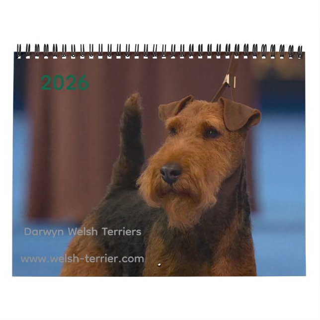 2026 Welsh Terrier Calendar (Cover)