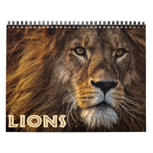 2026 Wild Lions Calendar