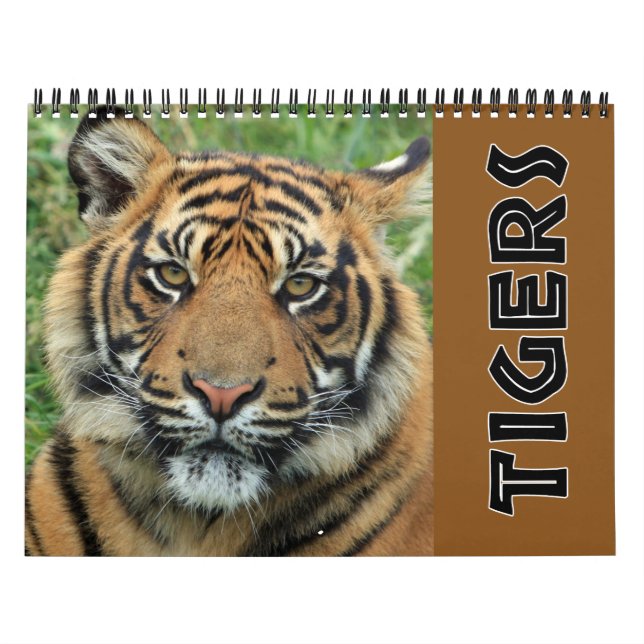 2026 Wild Tiger Calendar (Cover)
