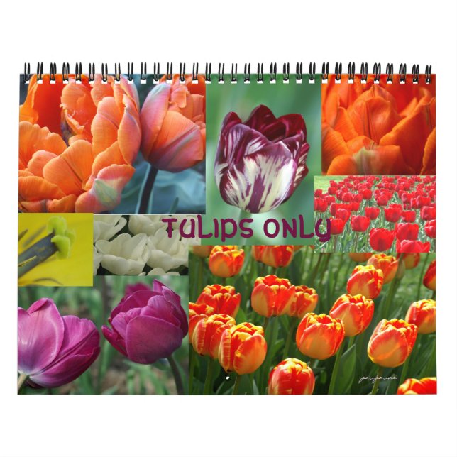 2026 year of the tulip calendar (Cover)