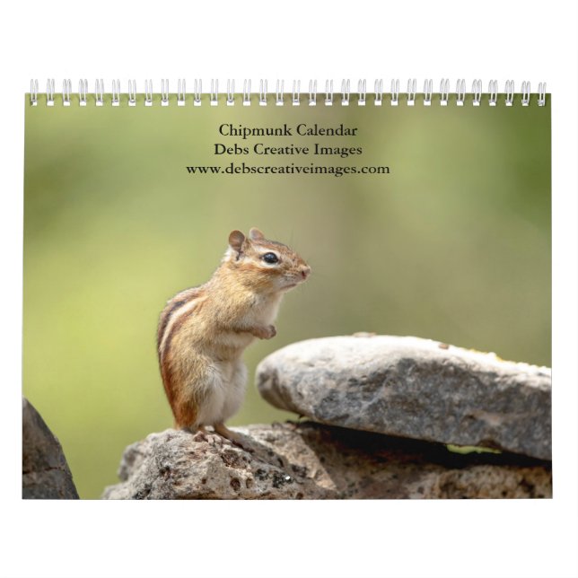 2027 Adirondack Chipmunks | Forest Wildlife Calendar (Cover)