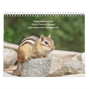 2027 Adirondack Chipmunks Wildlife Photography Calendar