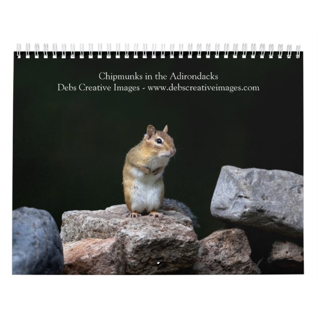 2027 Adirondack Chipmunks | Woodland Wildlife Calendar (Cover)