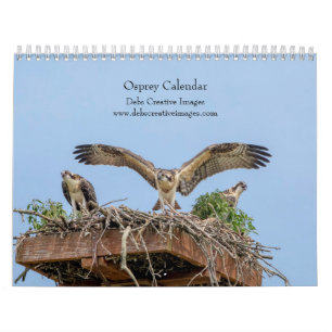 2027 Adirondack Osprey Birds of Prey Photography Calendar