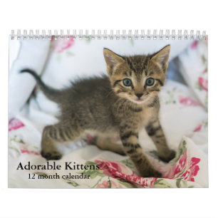 2027 Adorable Kittens Twelve Month Cat Calendar