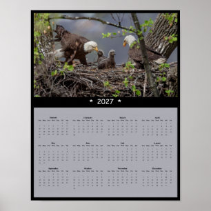2027 Bald Eagle Wall Calendar - Majestic Freedom Poster