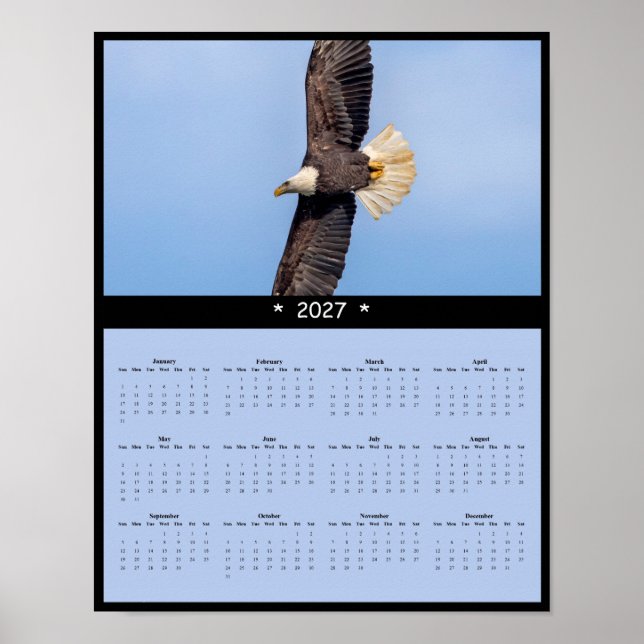 2027 Bald Eagle Wall Calendar - Timeless Majesty Poster (Front)