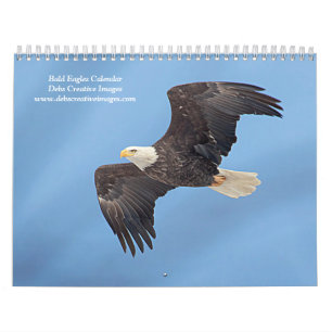 2027 Bald Eagles   Wildlife Photography Calendar