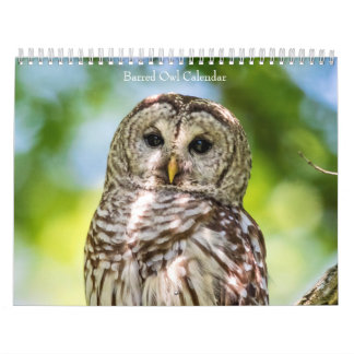 2027 Barred Owls | Mysteries of the Forest Calendar