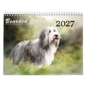 2027 Bearded Collies Calendar