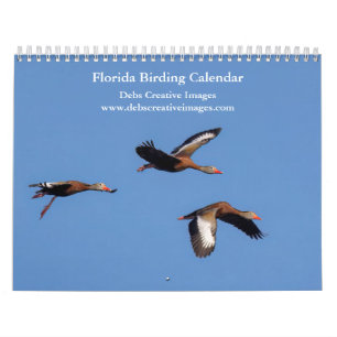 2027 Beautiful Birds of Florida Wildlife Photo's Calendar