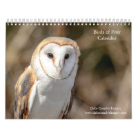 2027 Birds of Prey | North American Raptors