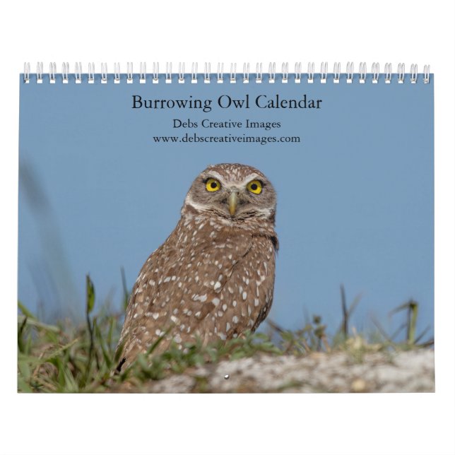 2027 Burrowing Owl Calendar | Southeast Florida (Cover)