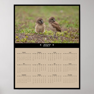 2027 Burrowing Owls Wall Calendar - Owl Family Poster