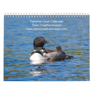 2027 Common Loons Adirondack Lakes Calendar