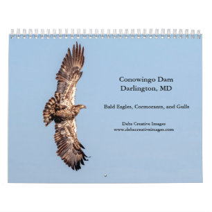 2027 Conowingo Dam Bald Eagles   Maryland Wildlife Calendar