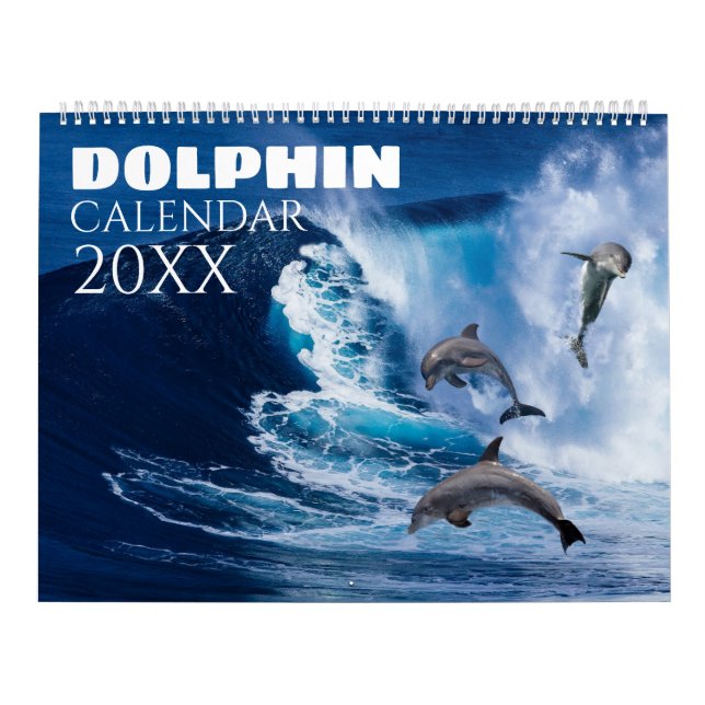 2027 Dolphin Sealife Nature Wall Calendar (Cover)