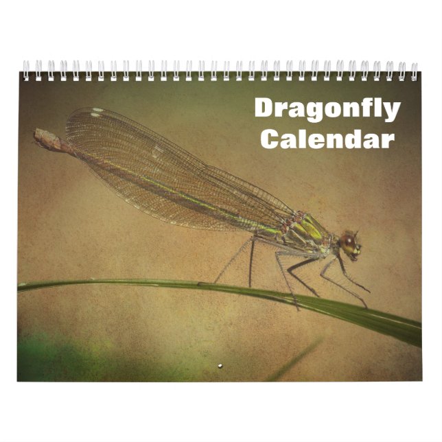 2027 Dragonfly Calendar (Cover)