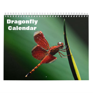 2027 Dragonfly Calendar