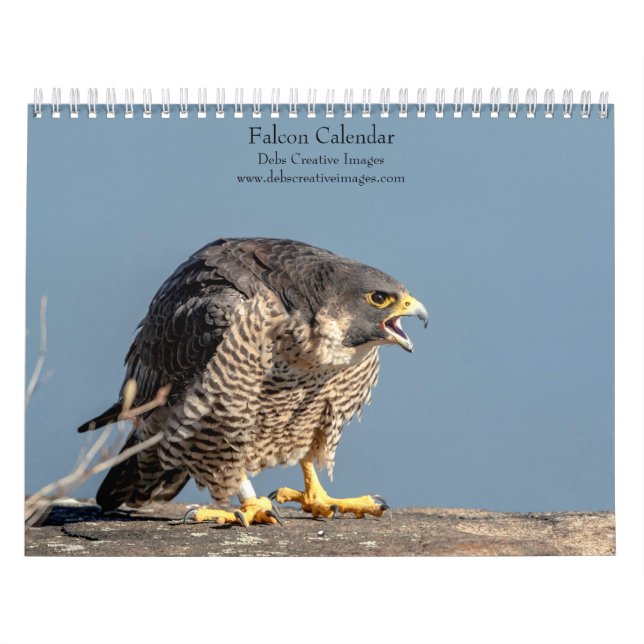 2027 Falcons | Masters of Speed & Flight Calendar (Cover)