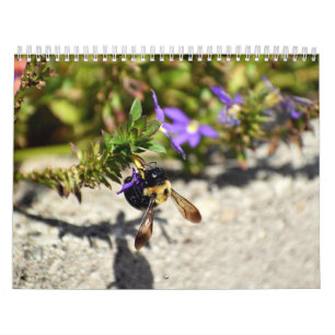 2027 Gatlinburg Garden & Smoky Mountain Calendar