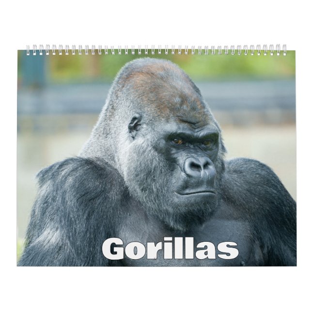 2027 Gorilla Calendar (Cover)