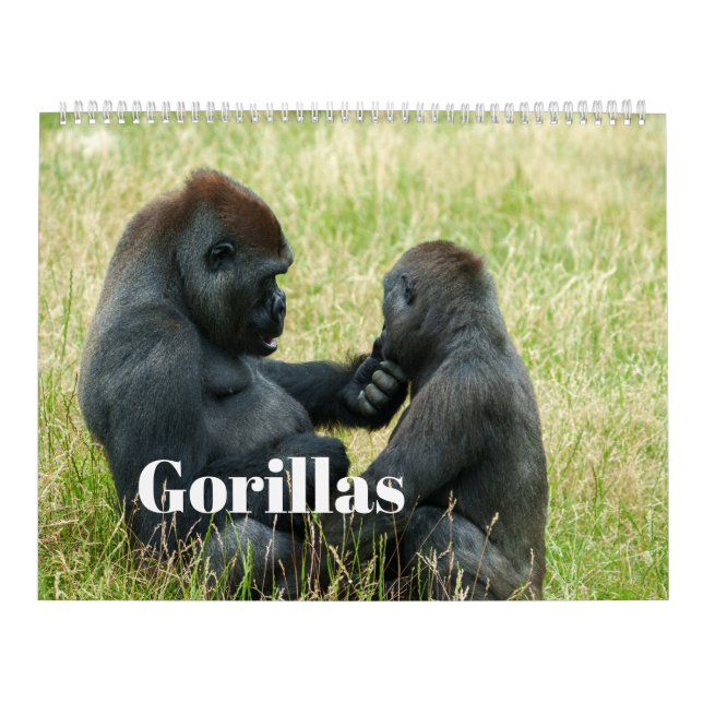 2027 Gorilla Calendar (Cover)