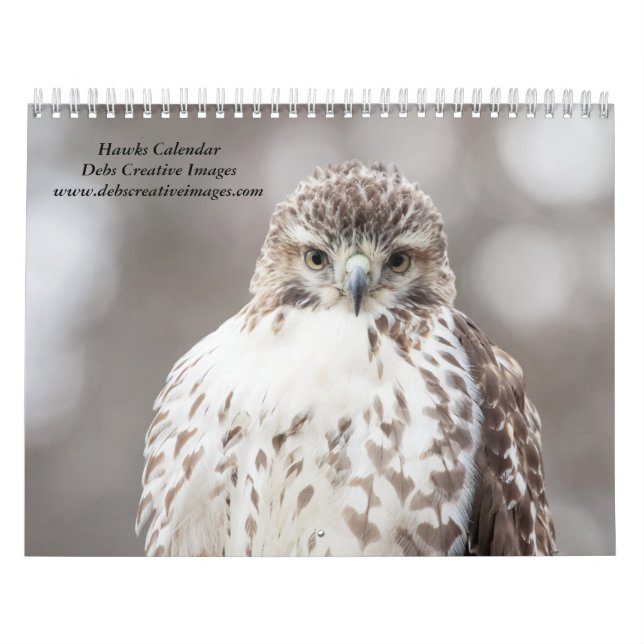 2027 Hawks of the Hudson Valley | Wildlife Calendar (Cover)