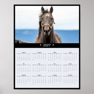 2027 Horse Wall Calendar - Majestic Equine Poster