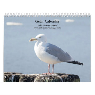 2027 Hudson River Gulls Wildlife Photography Calendar