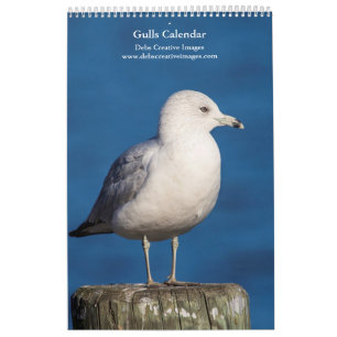 2027 Hudson River Gulls Wildlife Photography Calendar