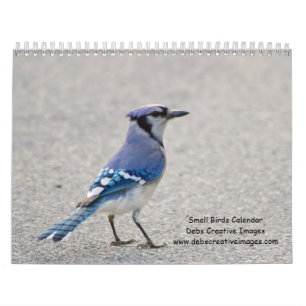 2027 Hudson Valley Songbirds, Wildlife Photography Calendar