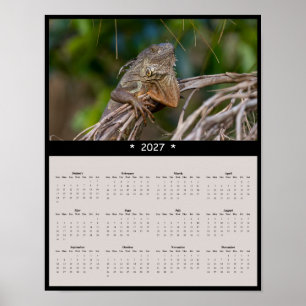 2027 Iguana Wall Calendar - Florida Wildlife Poster
