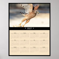 2027 Immature Red-shouldered Hawk Wall Calendar