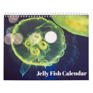 2027 Jellyfish Calendar