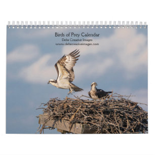 2027 Majestic Raptors   Birds of Prey Calendar