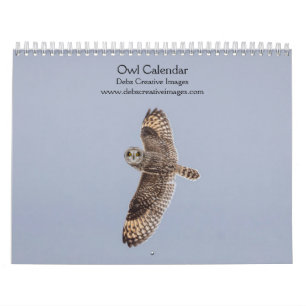 2027 Mysterious Owls Nocturnal Wildlife Calendar