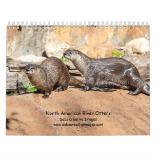 2027 North American River Otters Wildlife Calendar