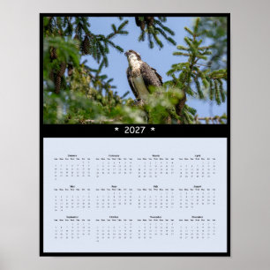 2027 Osprey Wall Calendar - Fish Hawk Photo Poster