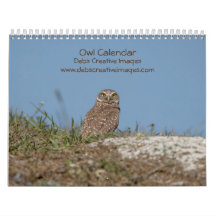2027 Owl Calendar | Gift for Owl & Bird Lovers