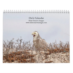 2027 Owls of North America Wildlife Photography Calendar