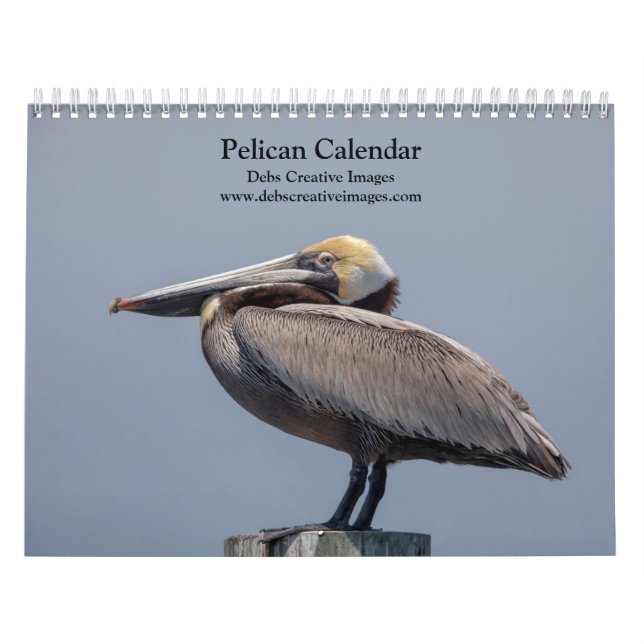 2027 Pelicans of Florida | Coastal Wildlife Calendar (Cover)