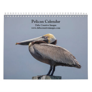 2027 Pelicans of Florida Coastal Wildlife Calendar