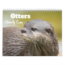 2027 Playful Otters Photo