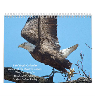 2027 Posterised Bald Eagles   Wildlife Art Calendar