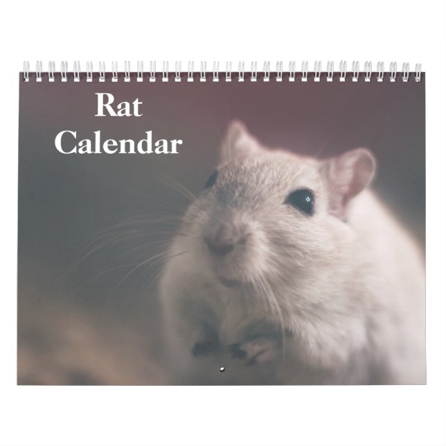 2027 Rat Calendar (Cover)