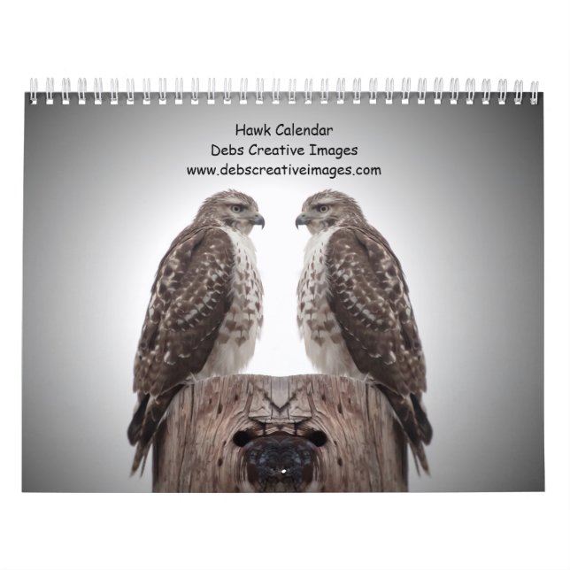 2027 Red-tailed & Cooper's Hawks | Wildlife Calendar (Cover)