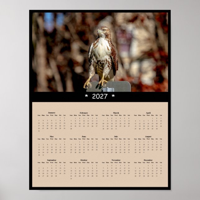 2027 Red-tailed Hawk Wall Calendar Perched Raptor Poster (Front)